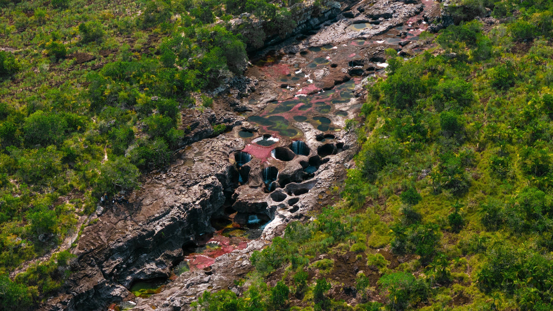 Viaja a Caño Cristales: aerolínea lanza vuelos desde Bogotá y Medellín; hay rutas desde este mes de julio